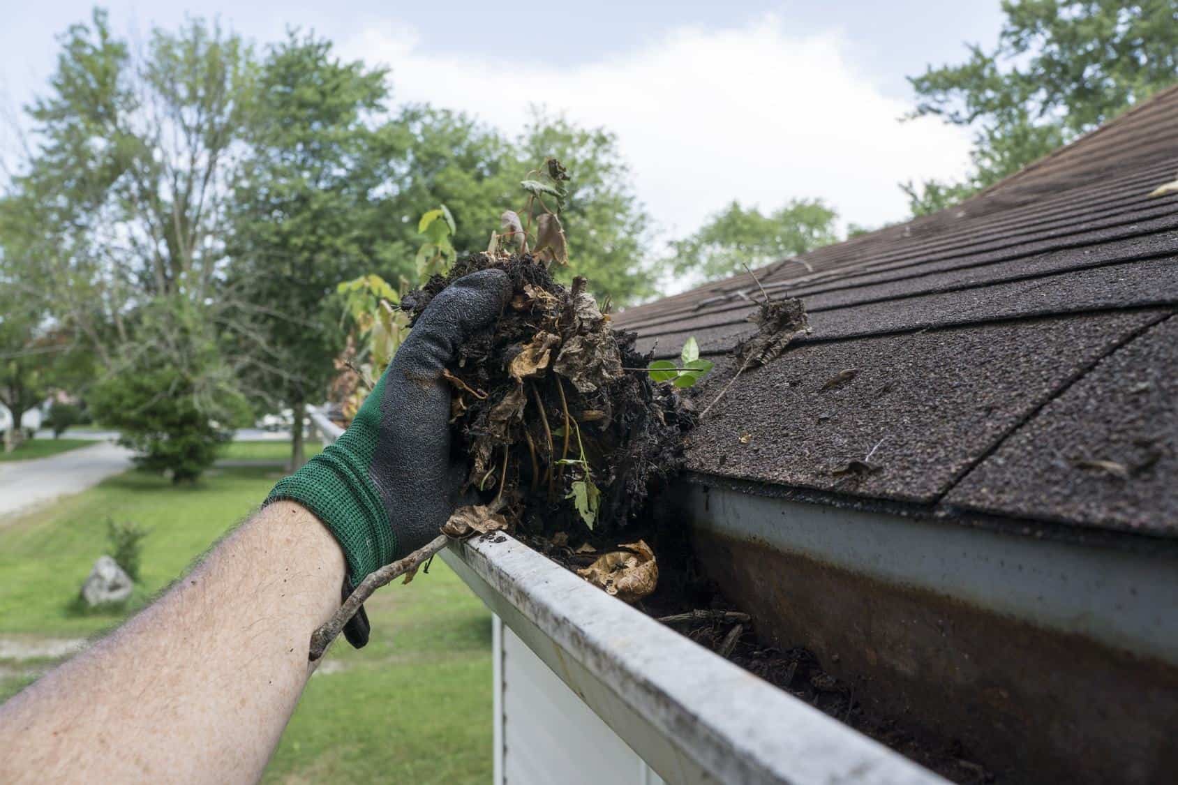 Comment enlever la mousse sur une toiture en tuile ou en ardoise ? - Guard  Industrie